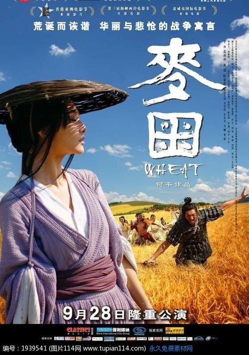 仿制特兰西瓦尼亚大学毕业证